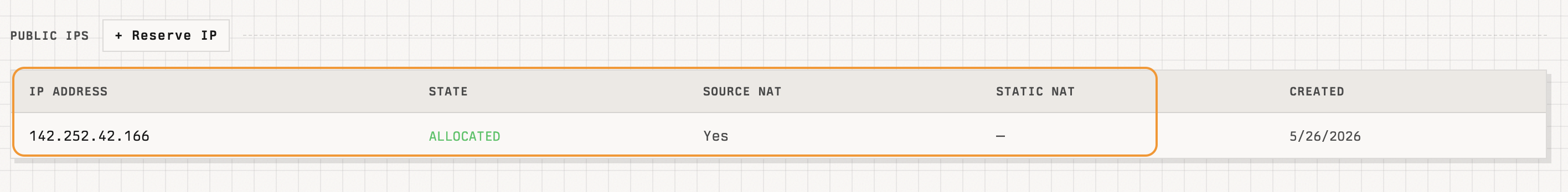 Public IPs section showing an allocated IP with state, source NAT, and static NAT columns