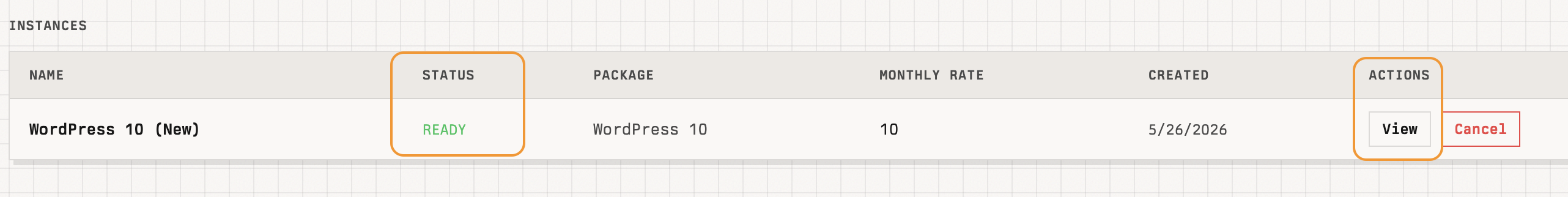Instances list showing the instance with status READY and View action